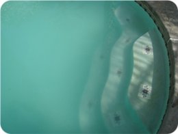 cloudy-pool-water