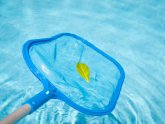 Cleaning pool Services