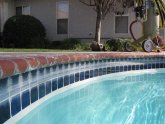 Pool Tile Cleaning Service
